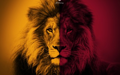 龙珠体育-什琴斯尼训练中扑出点球后嚣张庆祝