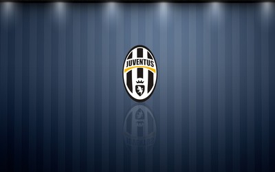 龙珠体育-从质疑到顶礼膜拜