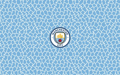 龙珠体育-他们知道如何赢球