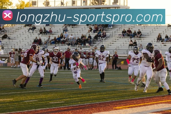 龙珠体育专业版发展历程